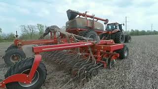 Выращивание  нута. No-till 19.04.2018. Посев нута ,