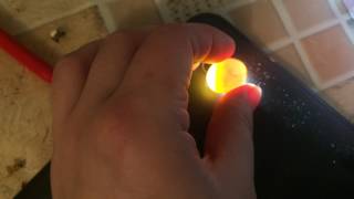 Как определить оплодотворенные яйца волнистых попугаев