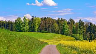 заказать реферат ПО экономике vakanciji.blogspot.com