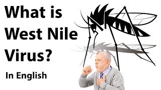 What is West Nile Virus? - A big threat for Kerala after Nipah virus outbreak - Current Affairs 2018