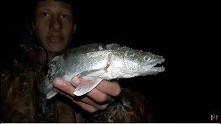 Ловля щуки и судака/ НЕЗАБЫВАЕМАЯ рыбалка/супер клев/ Вячеславка. Март 2017. ( Часть 1)