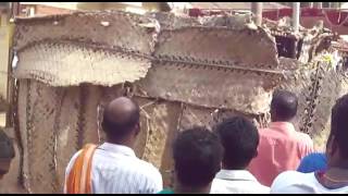 Kathala kaana gulliga  kola