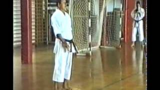 SHIRAI Sensei: This is karate