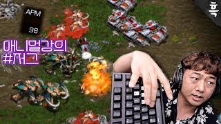 평균APM 100도 안 넘었습니다. 앵지님은 보세요.｜애니멀강의 저그
