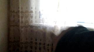 a http://wap.sasisa.ru/cgi-bin/linkout.cgi?id=181 http://i.artfile.ru/s/398314_060905_18_ArtFile_ru.
