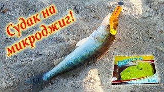 СУДАК НА МИКРОДЖИГ. ОН КЛЮНУЛ ТАМ ГДЕ Я ЕГО НЕ ОЖИДАЛ УВИДЕТЬ...