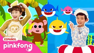 Baile de Tiburón Bebé???? con Mono Banana | ¡Cantemos y Bailemos Juntos! | Pinkfong en español