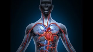 Уникальное упражнение для сосудов всего по 5 минут в день (Улучшаем иммунитет)