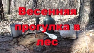 Весенняя прогулка в лес