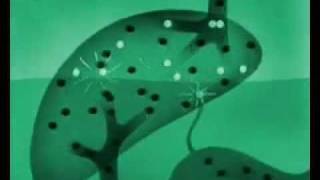 LE SCRAW - MENACE TO SOBRIETY. OFFICIAL VIDEO