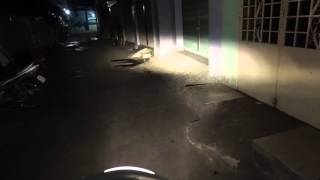 Philips Lumileds + Cree L4 - Honda SH * LEDPHUOT.COM