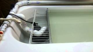 Hydrographic dip tank