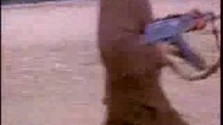 Baader Meinhof PLO Training Camp