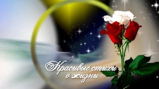 Красивые стихи о жизни