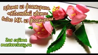 Цветы из фоамирана. «Яблоневый цвет»: видео МК из фоамирана