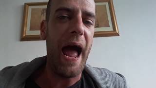 The truth about Bumble Bees ( You are being lied to!!)