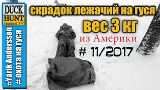Обзор.Лежачий скрадок на гуся.Вес 3 кг.Посылка из Америки