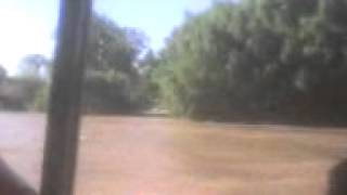 en el Tigre