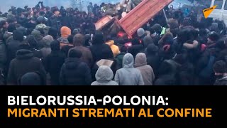 #Bielorussia-#Polonia: migranti stremati al confine