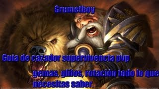 Guia de cazador supervivencia 3.3.5a PVP