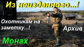 Спешу предупредить перед началом охоты/Паразиты в дикой утке