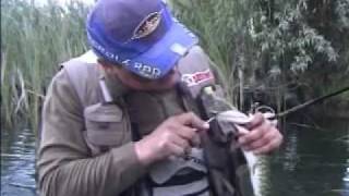 ловля хишника твичингом 1 http://fish73.ml