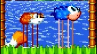 Realistic Fox in Sonic Mania (Sonic Mania mod)