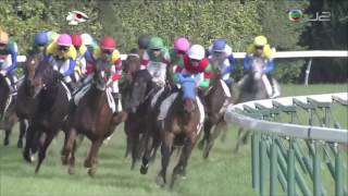 2016 日本打吡大賽 東京優駿 豐收節 マカヒキ 川田將雅