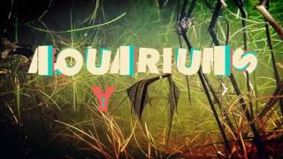 Red tiger lotus, Aquarium plant breakdown and propagation guide #1 Nypmhaea Zenkeri