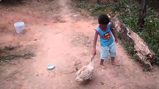 Menino se da mal ao brincar com pato