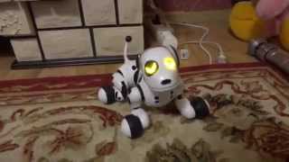 Zoomer (Зуммер) Интерактивный щенок-робот