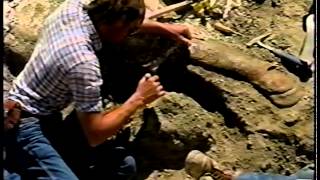 T. rex Exposed - NOVA