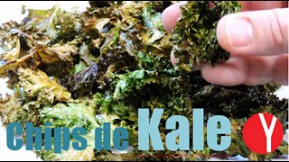 Chips de Col Kale - YOCOMO Superalimentos