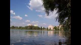 Озеро Чеха (г. Сумы)