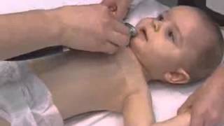 Pediatric Heart Examination
