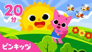 ひとりでもじょうずにできるよ???? | 朝になったら 他 生活習慣の歌 詰め合わせ | 子どもの歌 | ピンキッツ! 童謡と子どもの動画