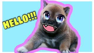 +18 HOT? MULHER PELADA? VÍDEO PARA MAIORES? VÍDEO ADULTO? SERÁ? ???