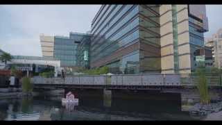 Jumeirah Creekside Hotel; Die Kuratorin (Kurzversion)