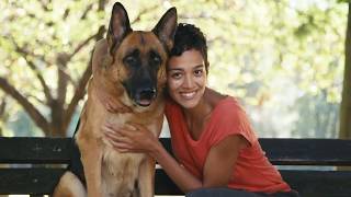 ¿Médium para perros? Aquí los detalles.