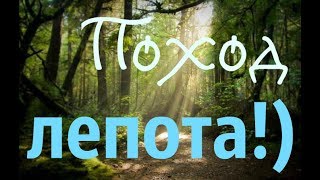 ПОХОД, КРАСИВЫЙ ЛЕС и сбор грибов!!! ЧТО МОЖЕТ БЫТЬ ЛУЧШЕ...