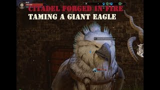 Citadel Forged in Fire | Taming a Giant Eagle | Taken from Live gameplay