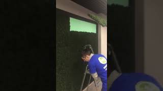 Монтаж Фитостены из мха palmade.ru