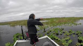 First time on Lake Toho 13Jan18 Ranger RT198p