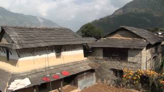 Népal Balcons de l'Annapurna