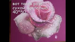 как нарисовать розу сухой пастелью