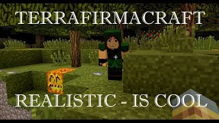 TerraFirmaCraft без прикрас #8: квесты, холодильник и печь для керамики