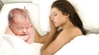 Туш табири - Тушда чакалок куриш