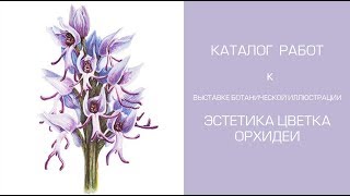 Каталог работ к выставке ботанической иллюстрации "Эстетика цветка орхидеи"