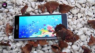 Sony Xperia Z-ის განხილვა