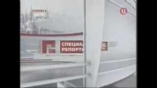 Как_уничтожить_тараканов_в_квартире?
